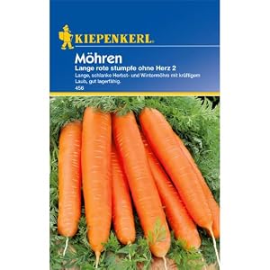 Sperli Gemüsesamen Möhren Lange rote stumpfe ohne Herz 2, grün