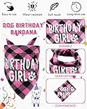 Zoom IMG-2 jukota cappello per cani compleanno Zoom IMG-2 jukota cappello per cani compleanno