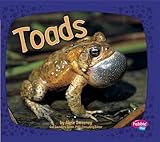 Toads (Pebble Plus: Amphibians)