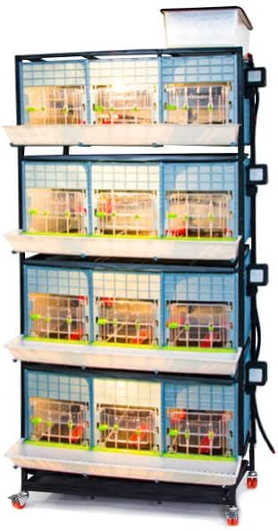 Miniatura 2 de Hatching Time Incubadoras de pollos de 15 pulgadas, apilables y opciones de 2 secciones, calefacción automática, bandeja fácil de limpiar, incluye