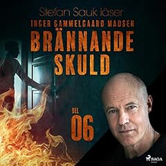 Couverture de Br&auml;nnande skuld 6