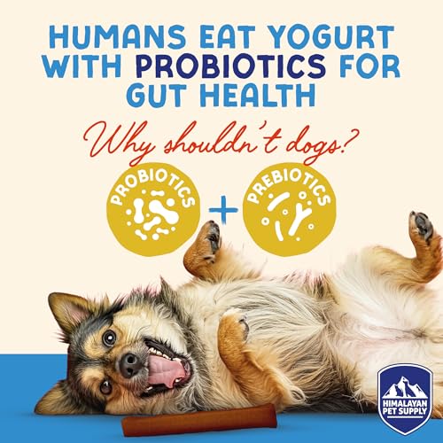Image of Himalayan Dog Chew Yogurt Sticks, Probiotic Dog Treats, Pumpkin, 5 Treats