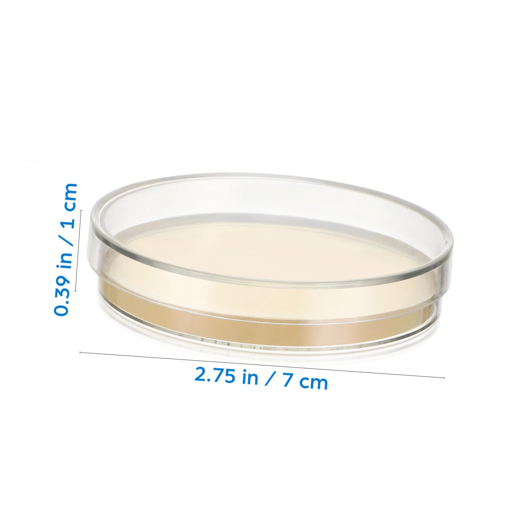 Piastre Petri con Agar Nutriente Precolato 20 Pezzi per Laboratorio | 7cm, Monouso per Ricerca e Scuola, Supporto per Coltura Microbiologica, Formato Pronto All'uso