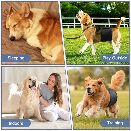 Image of 5 Pack Dog Diapers Male, High Absorbing Dog Wraps, Belly Bands for Male Dogs with Incontinence or Frequent Urination, Doggie Diapers M, Black