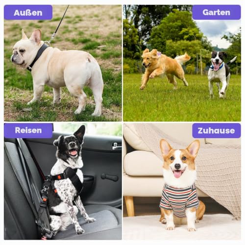 PIWOSGOL 18 Stück Verdickung Hypoallergene Handschuhtücher für Hunde & Katzen,Reinigungshandschuhe für Haustiere- Sanfte Reinigung & Geruchsentfernung für Haustiere | Antiallergisch & Hautfreundlich