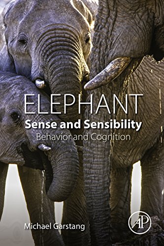 Elephant Sense and Sensibility (English Edition)