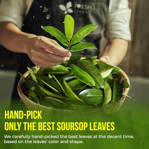 Image of 40 Premium Soursop Graviola Leaf Tea Bags, 100% Natural and Pure from Soursop Leaves, Handmade, Made With Natural Materials-Corn Fiber Tea Bag, Sugar /Caffeine /Gluten Free, Hoja Guanabana Tea