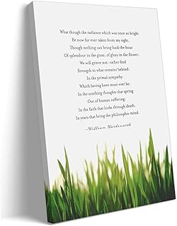 Quwinty Splendor In The Grass Poem Wall Art Prints Inspirational Poetry Quotes Posters Artwork for Hallway Canvas Decoration Wall Hanging Kitchen (8.00''x12.00'',Framed)