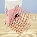 Achort Librería Triangular Almacenamiento de Escritorio Revistero de Arte de Hierro con...