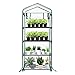 TOOCA Mini Greenhouse 4-Tier Portable Plant Greenhouse for Indoor Outdoor Gardens/Patios/Backyards, Suitable for Seed Starter, Young Plants(27" X 19" X 63")