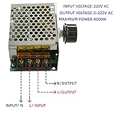 BOJACK B0B6PJJHQZ lato 4