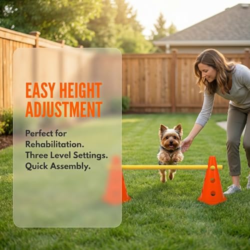 XEIYEI 5er Sports Steckhürdenset Cavaletti Agility Set Hunde Hürden Steckhürdenset 10 Kegel 23cm + 5 Stangen 80cm Agility Koordinationstraining Set für Kinder Hunde Teamsport Fussball (Orange)