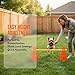Imagen de XEIYEI Accesorios de Entrenamiento de Agilidad para Perros y Caballos 5 Set Agility Set Perros Barreras Juego de Obstáculos Niños 23cm para Entrenamiento de Animales y fútbol
