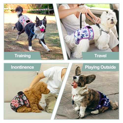 Image of Washable Female Dog Diapers (5 Pack) - Doggie Reusable Large Dog Diapers for Doggy Puppy Female in Period - Highly Absorbent Dog Heat Panties,S Plus,Flowers