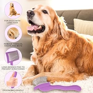 Dog-Slicker-Brush-for-Goldendoodles-Golden-Doodle-Brush-for-Grooming-Kit-Dog-Brush-for-Goldendoodle-Labradoodle-Poodles-Pet-Hair-Brush-for-Medium-Long-Haired-Dogs-MediumPurple - Cucciolini Doodles Dog-Slicker-Brush-for-Goldendoodles-Golden-Doodle-Brush-for-Grooming-Kit-Dog-Brush-for-Goldendoodle-Labradoodle-Poodles-Pet-Hair-Brush-for-Medium-Long-Haired-Dogs-MediumPurple