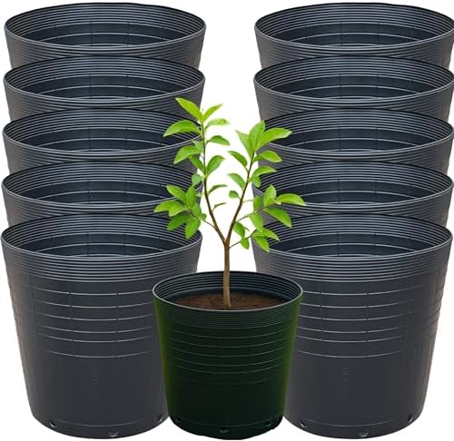 Kit 10 Vaso Embalagem 25 Litros Flexível para Árvores Frutíferas,...