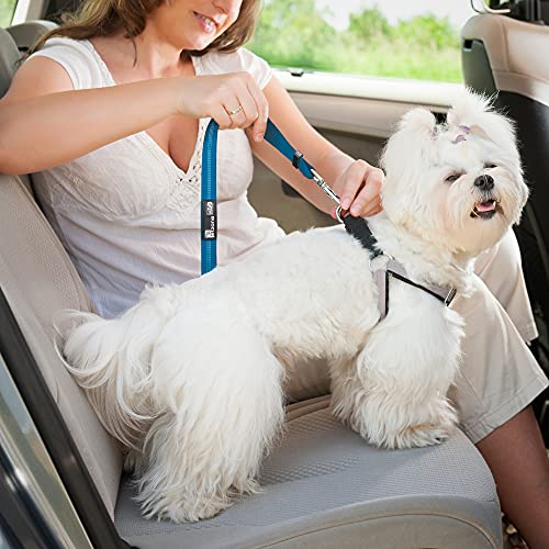 Comfortable Dog Seat Belt Harness For Car - 2-In-1 Leash And Restraint Secures To Headrest. Adjustable Bungee, Strong, Durable, 360 Degree Swivel Attach Won't Twist, Reflective, Easy To Use (Blue) #TOP1