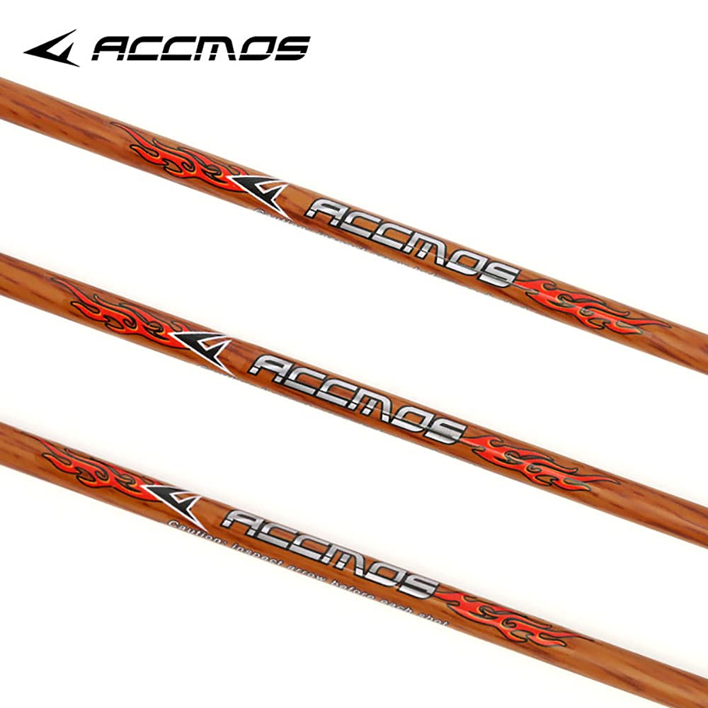 Spine 500 Flèche 32 Pouces Flèche Flèches Carbone Flèche Cible Flèche de Chasse Arc à Poulies Arc Classique Adulte Jeunesse Tir à l’Arc Entraînement 12pcs comme Le Bois