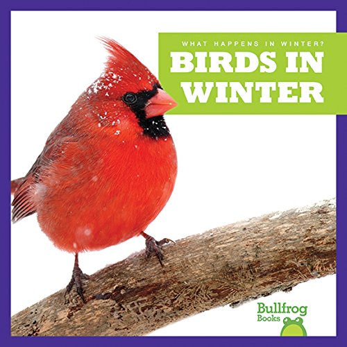 Birds in Winter (Bullfrog Books: What Happens in Winter?)