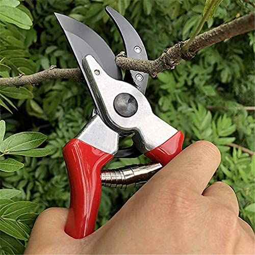 Tijeras profesionales para jardinería y poda miniatura 7