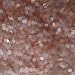 3mm Flat Round SEQUIN PAILLETTES ~ PALE PINK FROST Iridescent Rainbow ~ Loose sequins for embroidery, bridal, applique, arts, crafts, and embellishment. Made in USA.