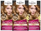 Palette
