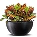 Elly DÃ©cor Bowl Planter 28x13 in. Big Bowl Pot Stripped Design Decorative for Indoor and Outdoors Plants usefull Bowl Flower Pot Chocolate