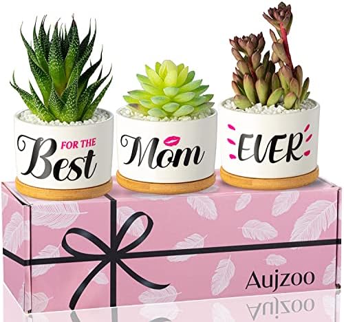Aujzoo for Her Birthday Gifts for Wife Best Wife Ever Succulent Pots Creative Present for Wife Plant Pots Set with Beautiful Gift Box