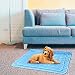 Tappeto Cane Cuscino Per Cane Materassino Per Cani Tappeto Refrigerante Per Cani Tampone Di Raffreddamento Automatico Per Animali Domestici Adatto Per Lettino Per Cani Rilievo-xl.