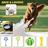 Leipple 20 Pack Luxus Hund Kauspielzeug für Welpen, niedliche kleine Hundespielzeug mit Seilen Welpen Kauspielzeug, interaktive Hundespielzeug und Quietschen Welpenspielzeug für kleine Hunde (style1)