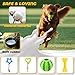 Leipple 20 Pack Luxus Hund Kauspielzeug für Welpen, niedliche kleine Hundespielzeug mit Seilen Welpen Kauspielzeug, interaktive Hundespielzeug und Quietschen Welpenspielzeug für kleine Hunde (style1)