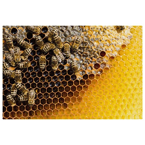 Sets de table motif ruche Honeycom isolants thermiques lavables pour cuisine - 2