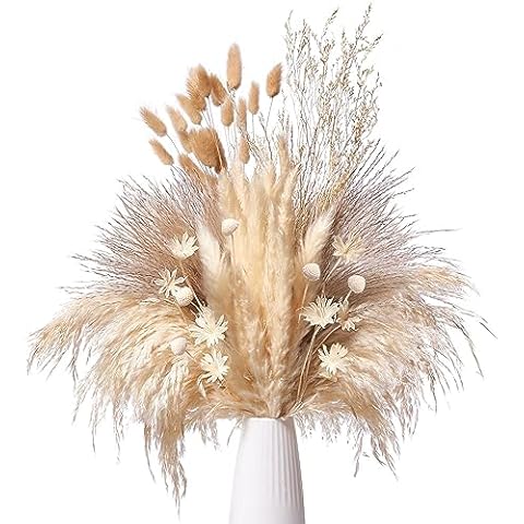 Gipizi 66 Pcs Natural Dried Pampas Grass Bouquet Cover