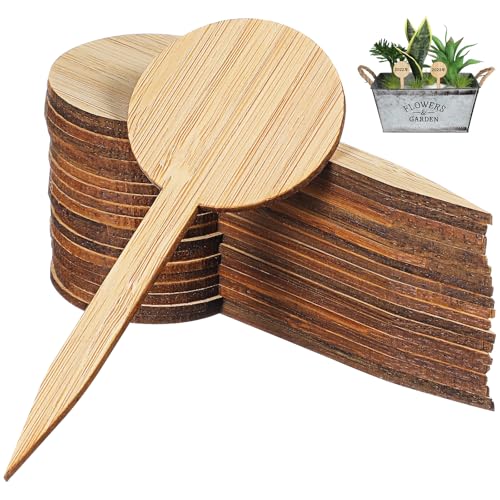 Etichette per piante in bambù: materiale naturale in bambù per forniture monouso e decorative, etichette per piante
