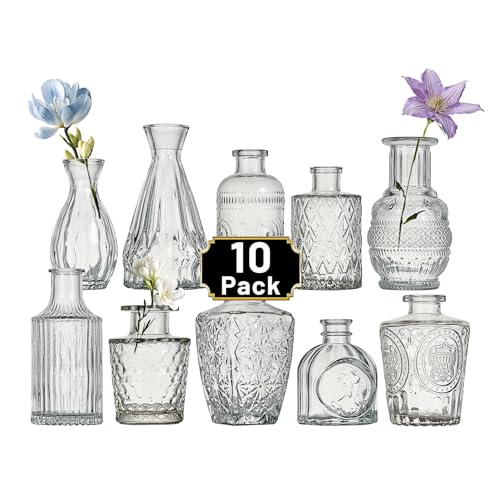 Tahnach Glass Bud Vase Set of 10 Pcs Small Minimalist