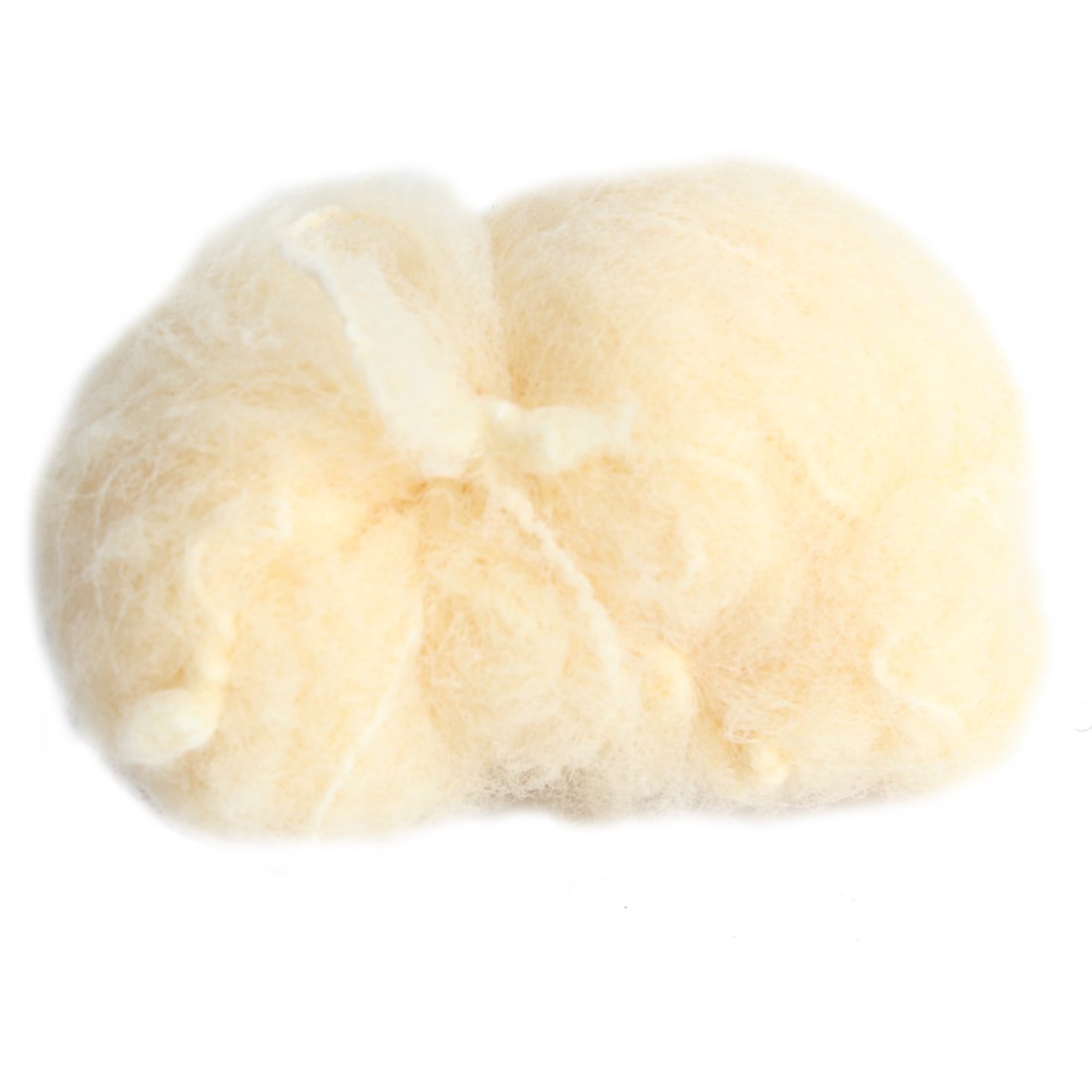 Riyang Pack of 20PCS Women's Bun Hair Nets Elastic Edge Invisible Stretchy Mesh 20" Light Blonde