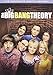 Big Bang Theory: Season 8