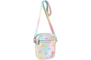 Gradient Rainbow Clear Purse with Customizable Charms