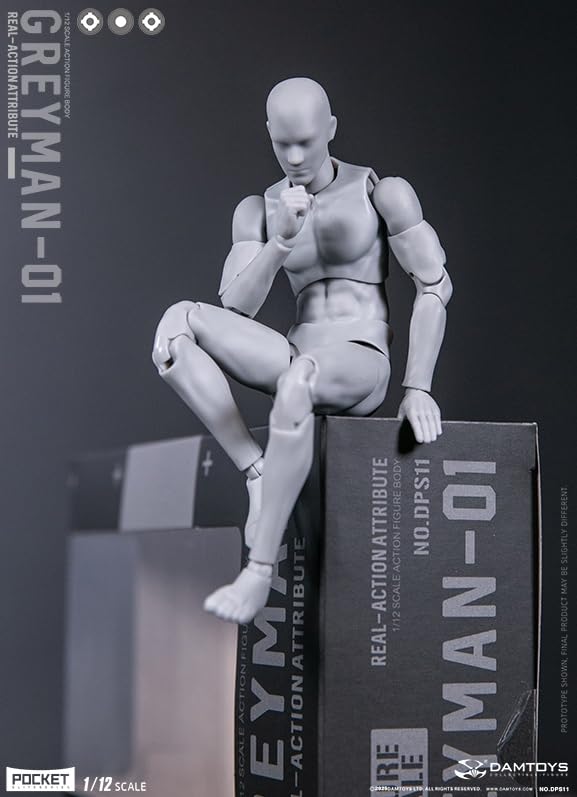 Amazon.co.jp: 【Tbmodel 】DAMTOYS 1/12 アクションフィギュア