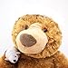 Gund Fun Christmas Storytime Bear Animated 13