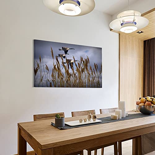 Canada Goose Photo Goose Landing Waterfowl Photography West Michigan Nature Landscape Still Life Aes Canvas Wall Art Prints For Wall Decor Room Decor Bedroom Decor Gifts 24X36Inch(60X90Cm) Frame-Sty #TOP2