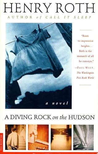 A Diving Rock on the Hudson: A Novel (Mercy of a Rude Stream)