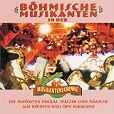  Musikanten kommt und spielt