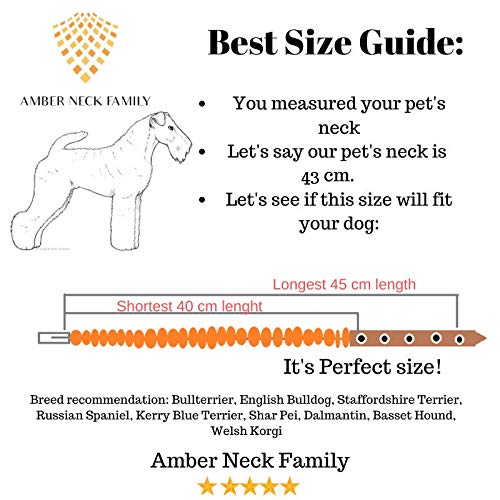 Amber Neck – Bernsteinhalsband für Hunde & andere Haustiere – Handgemacht aus echtem baltischen Bernstein – Echtes Leder – Verstellbar – Geschenkverpackung – Größen 40-45 cm