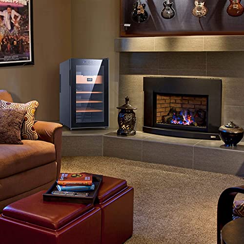 NEEDONE 48L Cigar Humidor, Electronic Cigar Humidor with Heating, 300