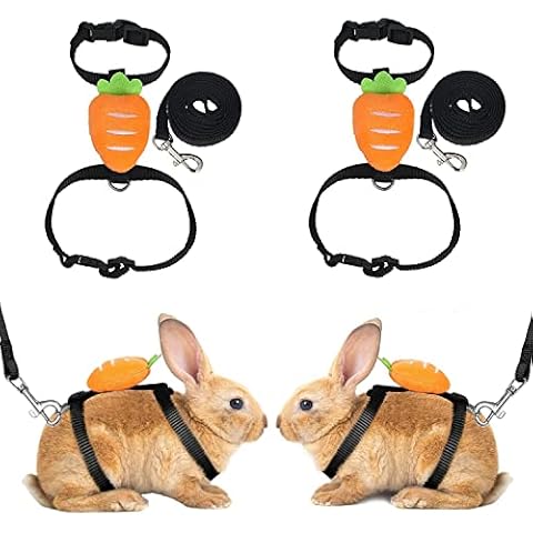 Adjustable Rabbit Harness and Leash Set Cover