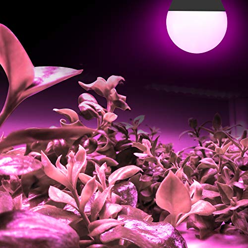 3 Pack LED Indoor Plant Grow Light Bulb A19 Bulb, Full Spectrum Plant Light Bulb, 9W E26 Grow Bulb Replace up to 100W, Grow Light for Indoor Plants, Flowers, Greenhouse, Indore Garden, Hydroponic