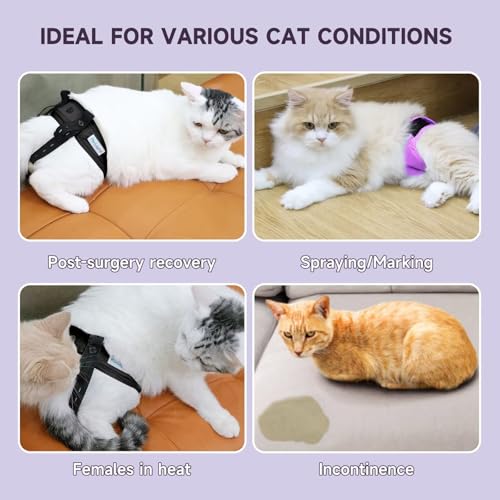 Image of Paw Legend Cat Diapers for Female Cats Spraying Washable Reusable Kitten Diapers for Cats Incontinence Pet Diapers (3 Pack, Colorful, Small)