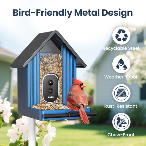 Image of Smart Metal Bird Feeder with Camera, Light Blue