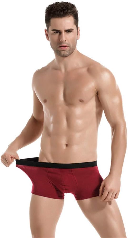 Lingerie For Men Stretchy Seamless Waistband Exotic Lingerie Sexy Funny Soft Male Athletic Comfort Fashion Supporter Outfits
